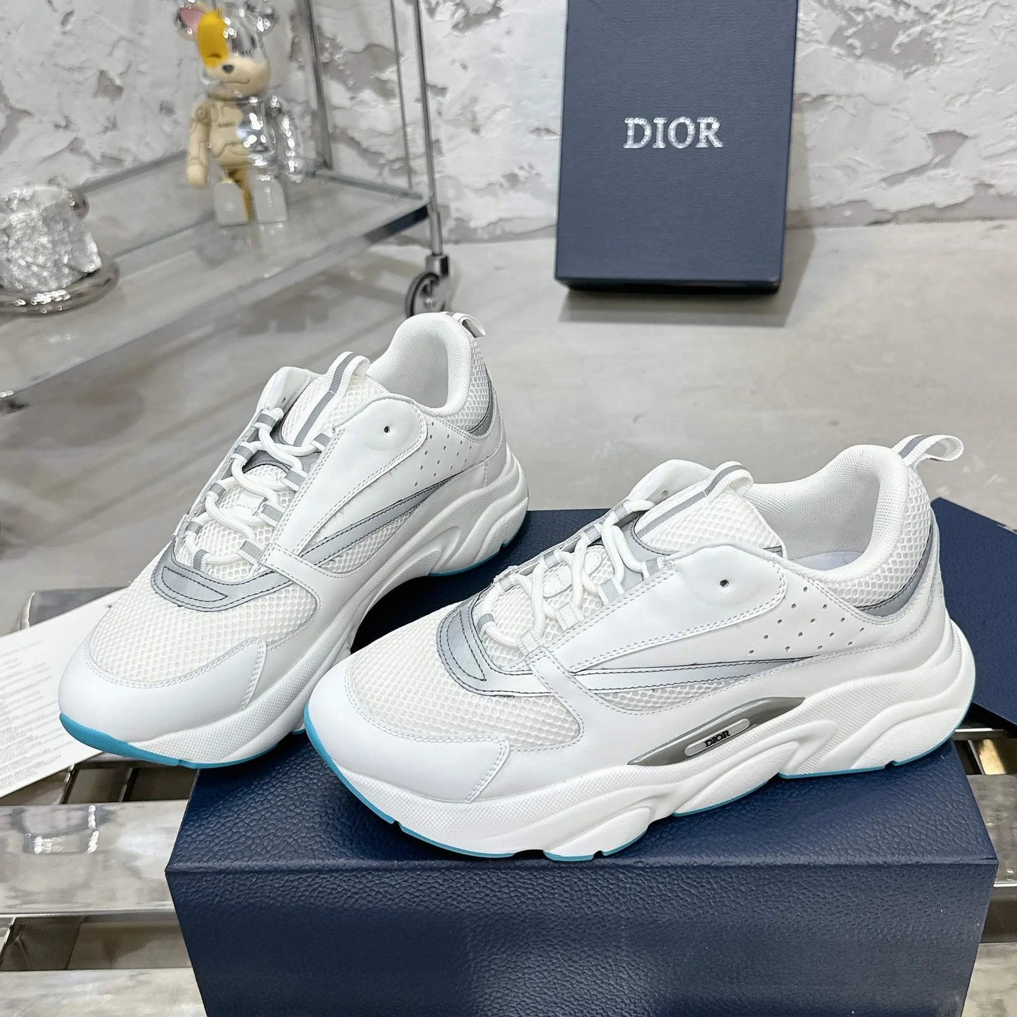 DIOR B22