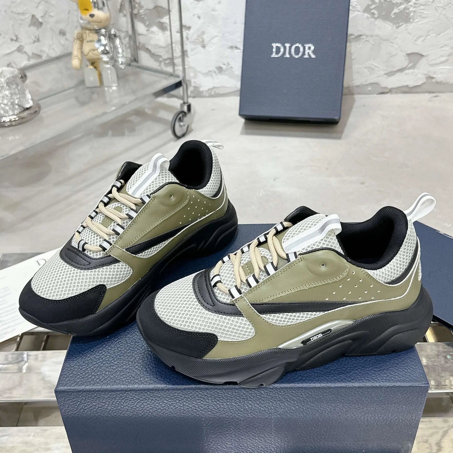 DIOR B22