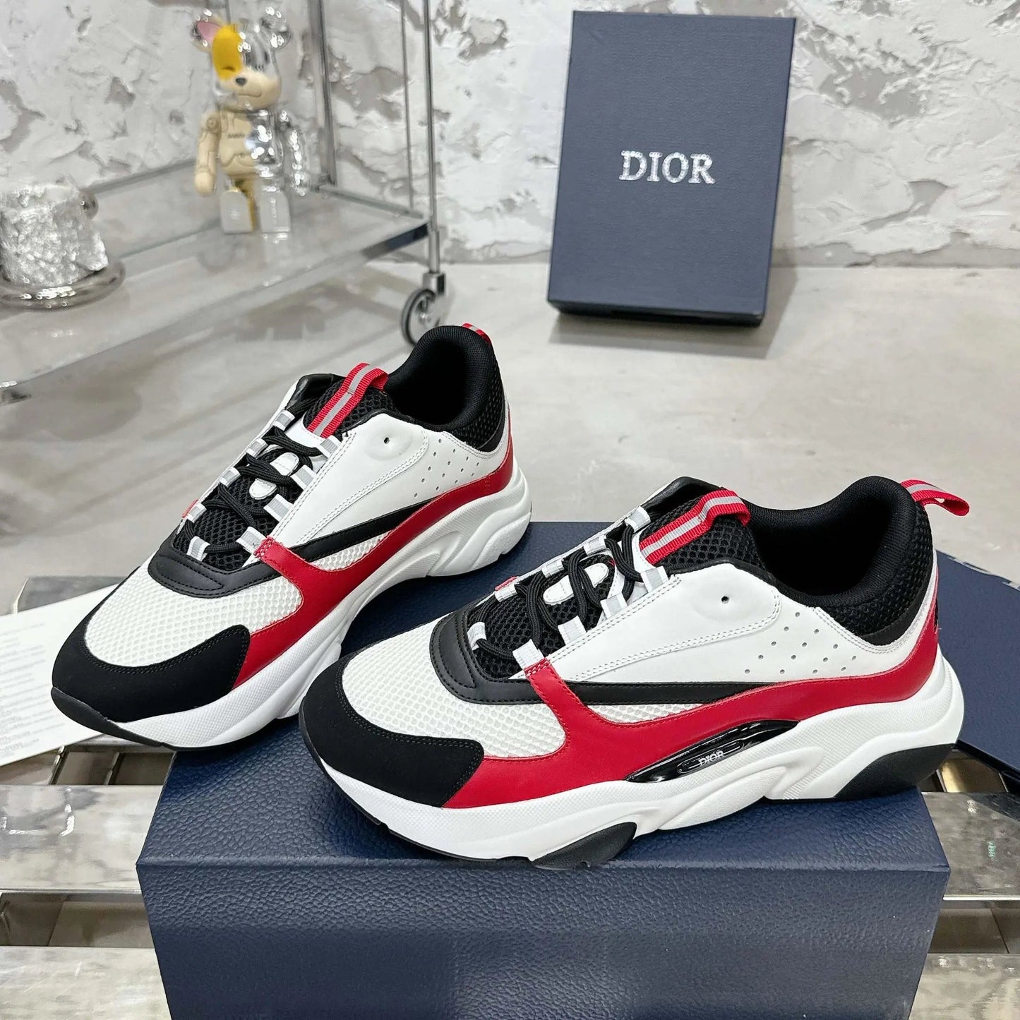 DIOR B22