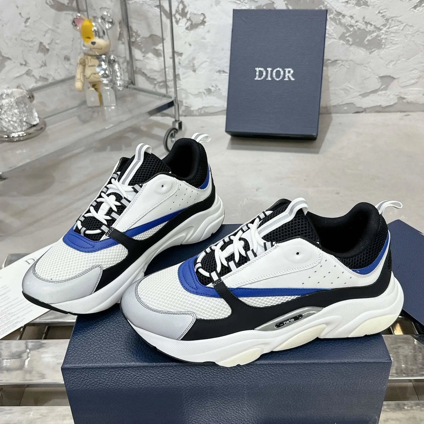 DIOR B22